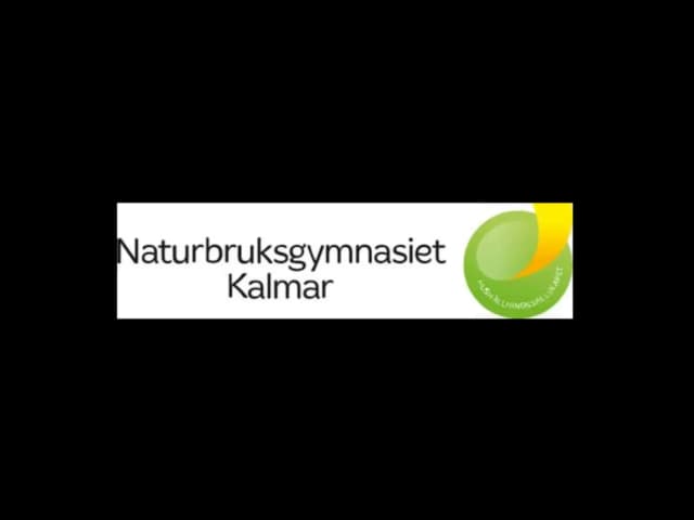 Partner logo 13
